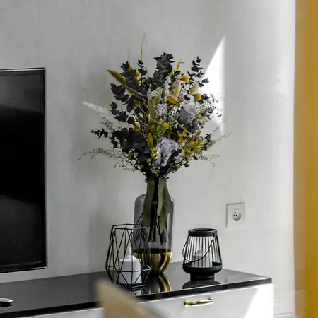 Alloggio in famiglia Zara Luxury The Absolute Center Of